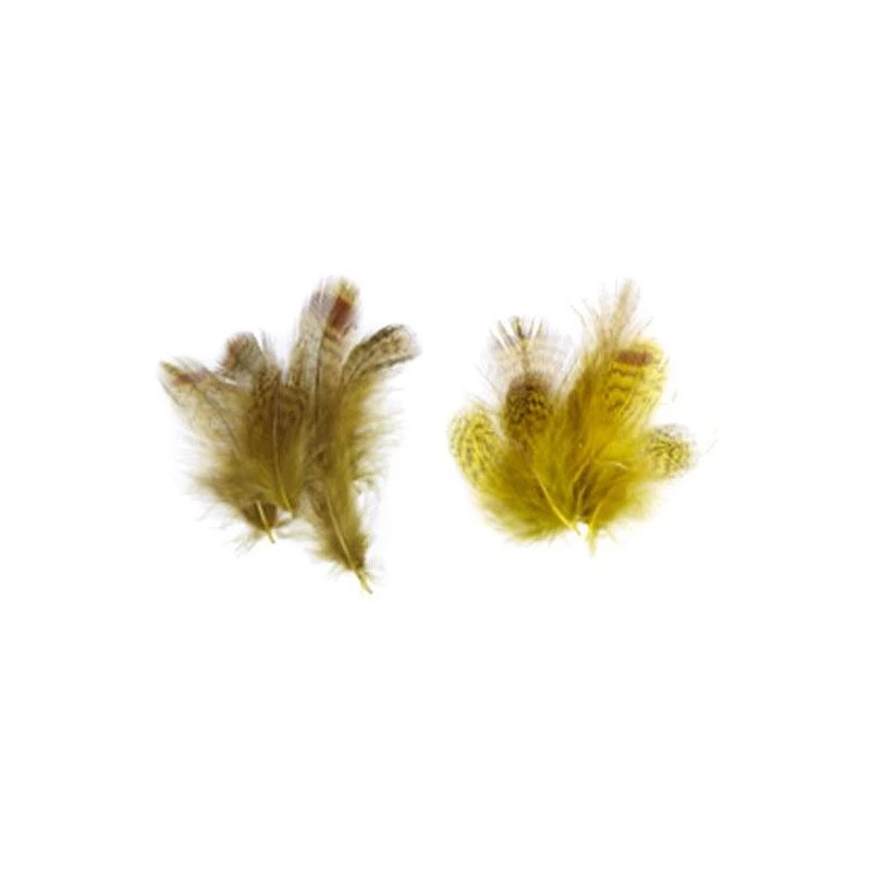 PERDRIX GRISE JMC 1 PERDRIX GRISE JMC