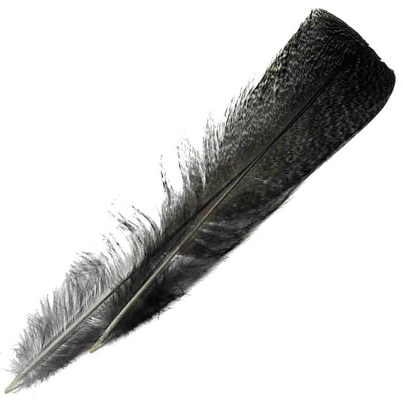 PLUME DE PAON DEVAUX DVX PAONNE 1 PLUME DE PAON DEVAUX DVX PAONNE