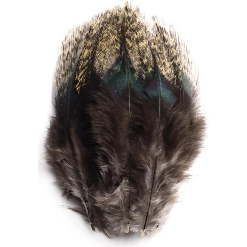 PLUMES DE COQ PARDO DEVAUX 1 PLUMES DE COQ PARDO DEVAUX