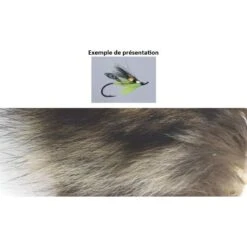 POILS DE RATON LAVEUR TOF