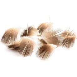 POITRAIL DE COLVERT DEVAUX LUMINI