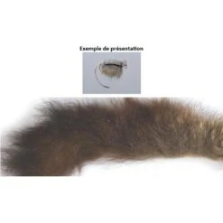 QUEUE D OPOSSUM AUSTRALIEN TOF MORCEAU