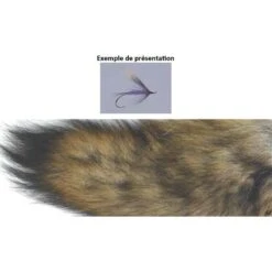 QUEUE DE COYOTTE TOF MORCEAU