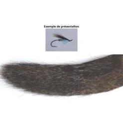 QUEUE DE MARMOTTE TOF COMPLETE