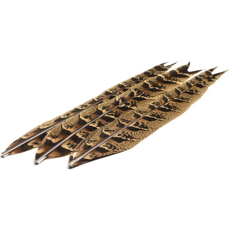 QUEUE DE POULE FAISANNE DEVAUX 1 QUEUE DE POULE FAISANNE DEVAUX