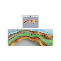 RABBIT STRIP TOF TIGER DUOTONE